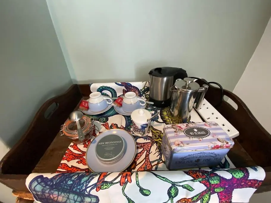 Clifton Georgian Townhouse, Downstairs Ensuite Room & Light Plant Based Breakfast Bristol Apartment
